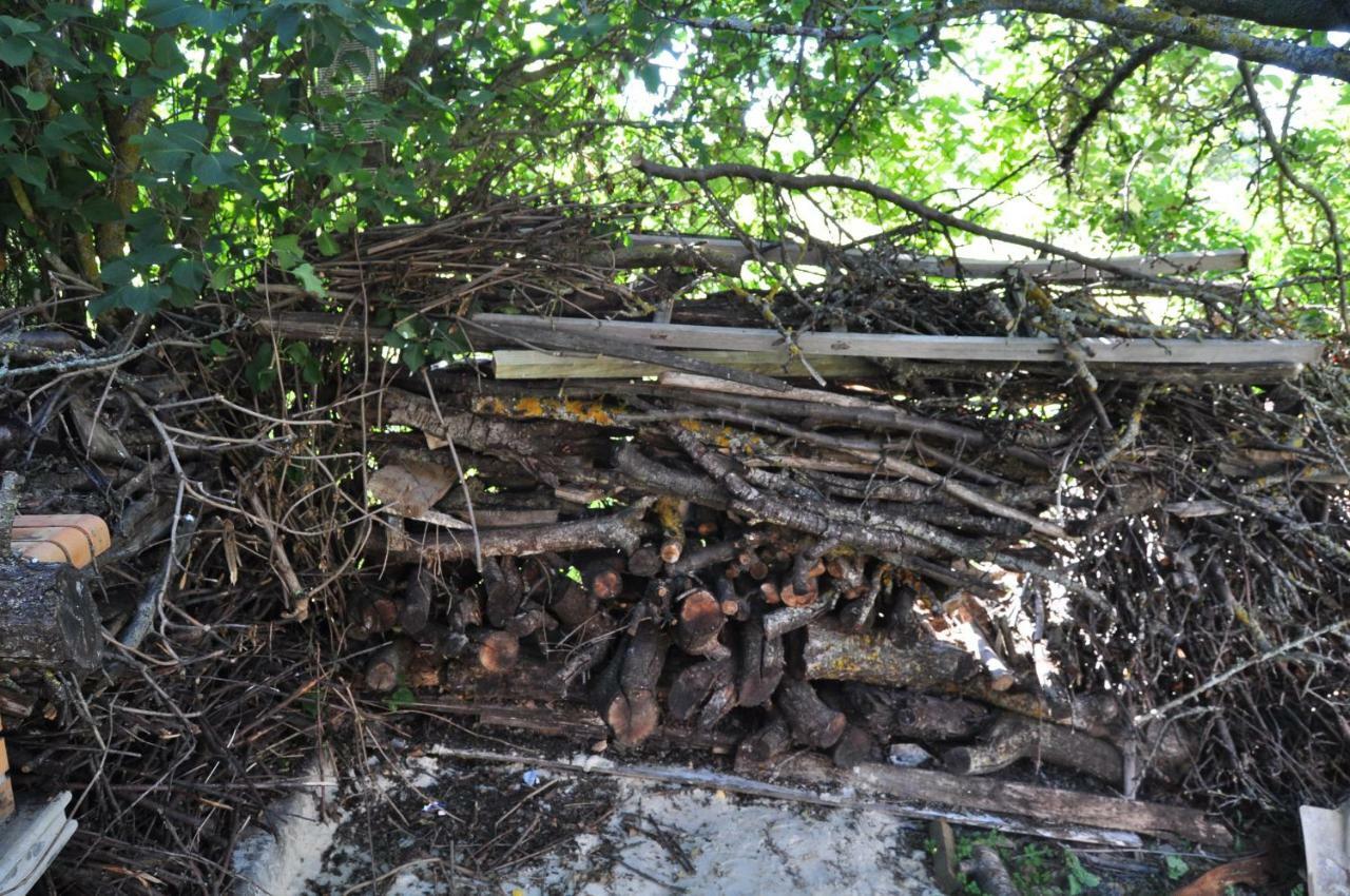 El Jardin De Manuela Vila Santibanez del Val Exterior foto