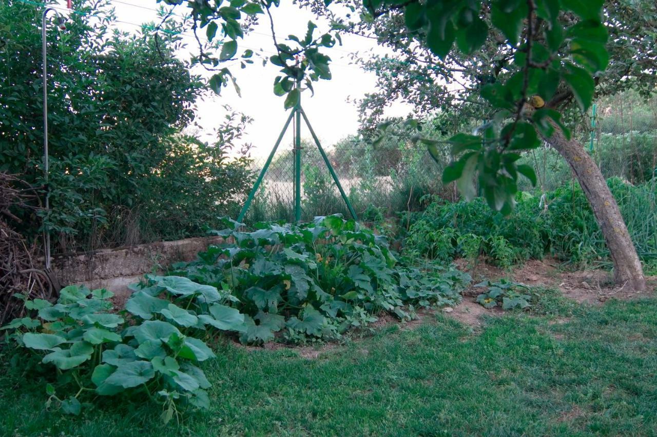 El Jardin De Manuela Vila Santibanez del Val Exterior foto